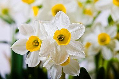 《沙漠大冒险》步行坦克演示 4月25日发售